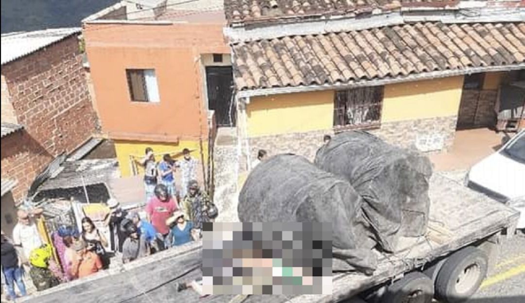 Vehículo de carga Vehículo de carga