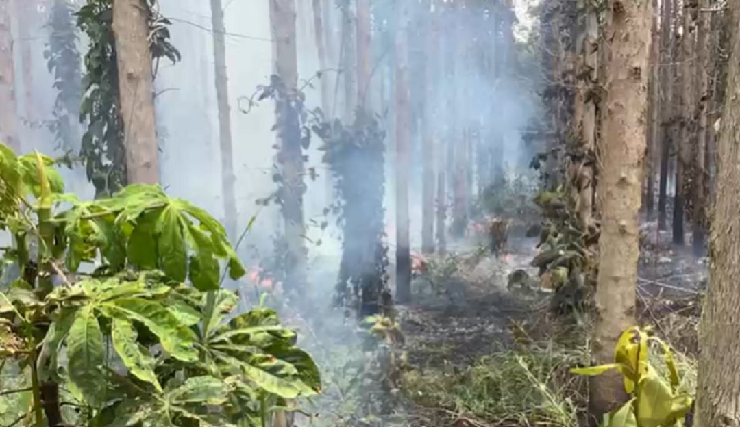 Disturbios en Cajibío, Cauca Disturbios en Cajibío, Cauca