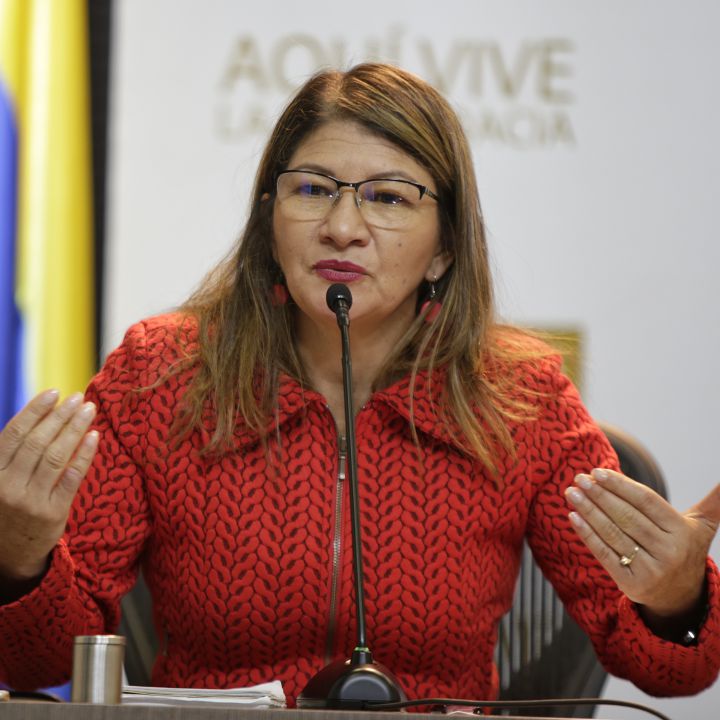 Sandra Ramírez pide perdón a víctimas por declaraciones sobre 'Mono Jojoy'