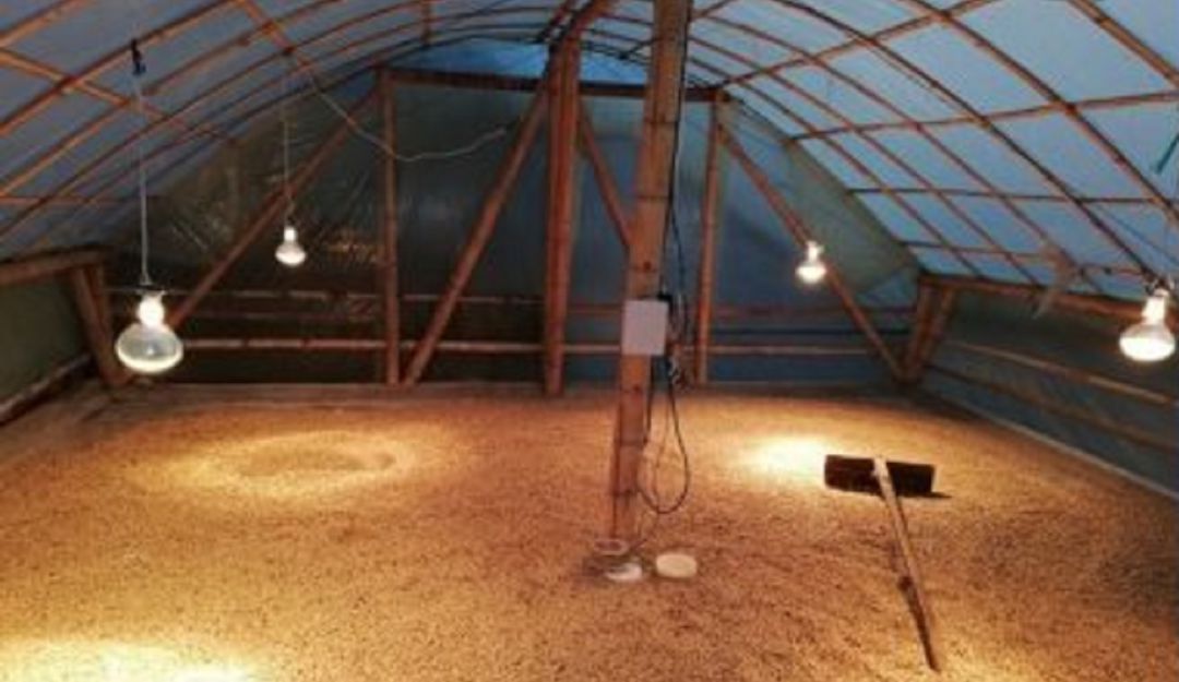 Silo para secado de café con temperatura regulada Silo para secado de café con temperatura regulada