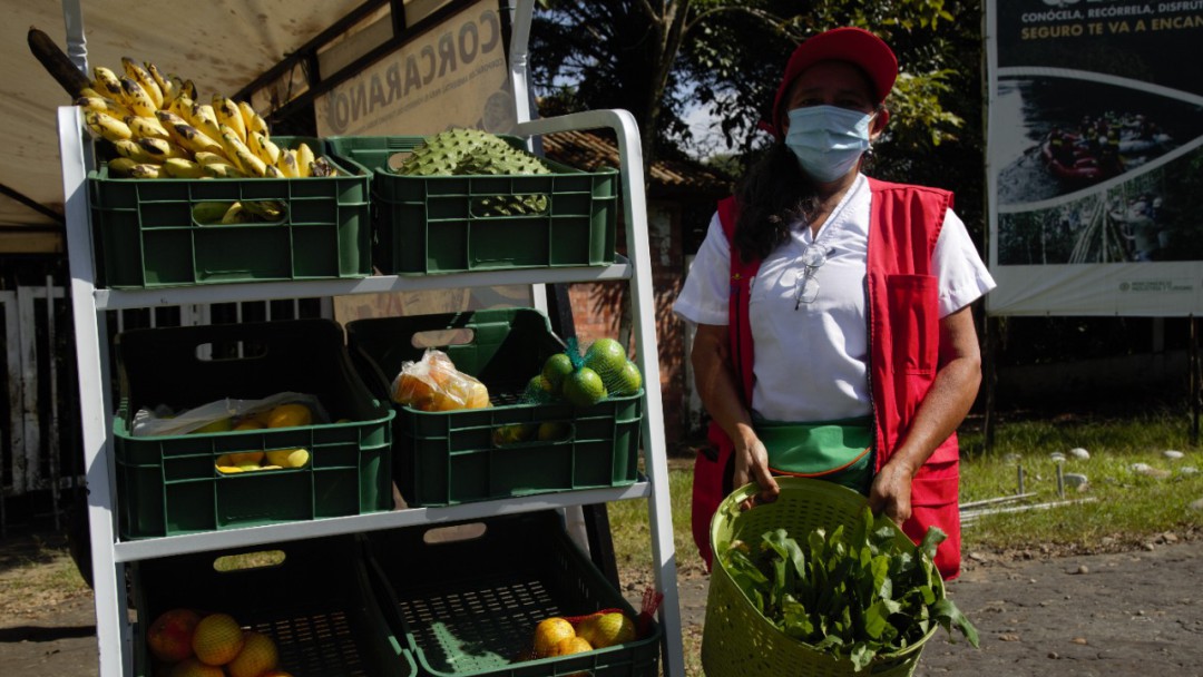Cilantro cimarrón, enorgullece a campesinos de El Caraño