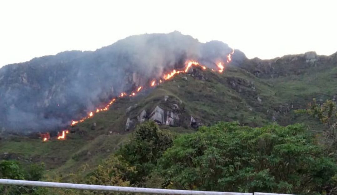 Incendio Forestal en el Tolima Incendio Forestal en el Tolima
