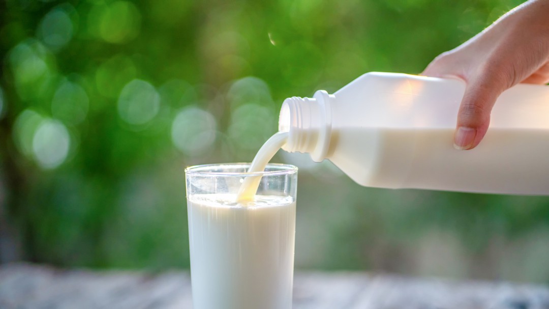 Beber leche todos los días: ¿Hay algún peligro para la salud?