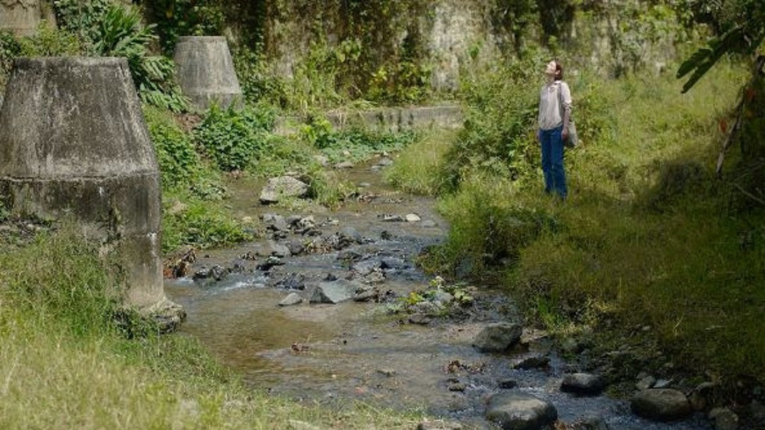 Pijao, Quindío presentación de la película "Memoria" al aire libre