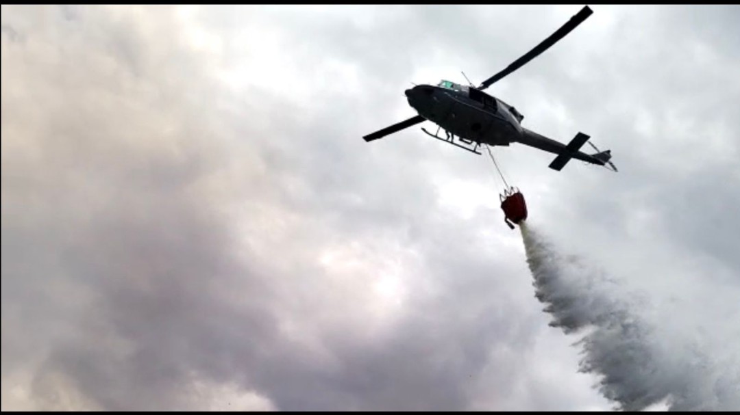 Controlan incendio forestal en el Tolima