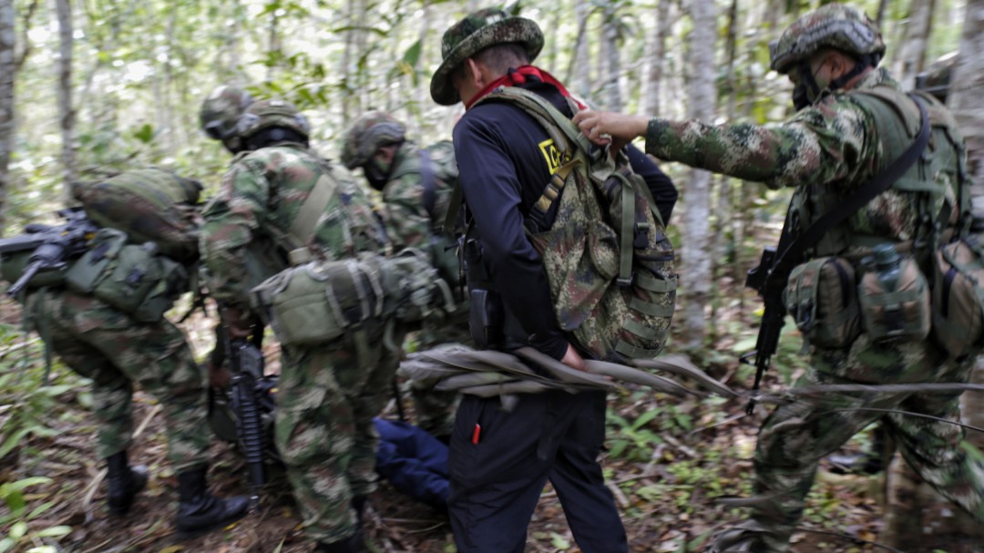 Combates en Argelia- Cauca son por cultivos de coca: Mindefensa