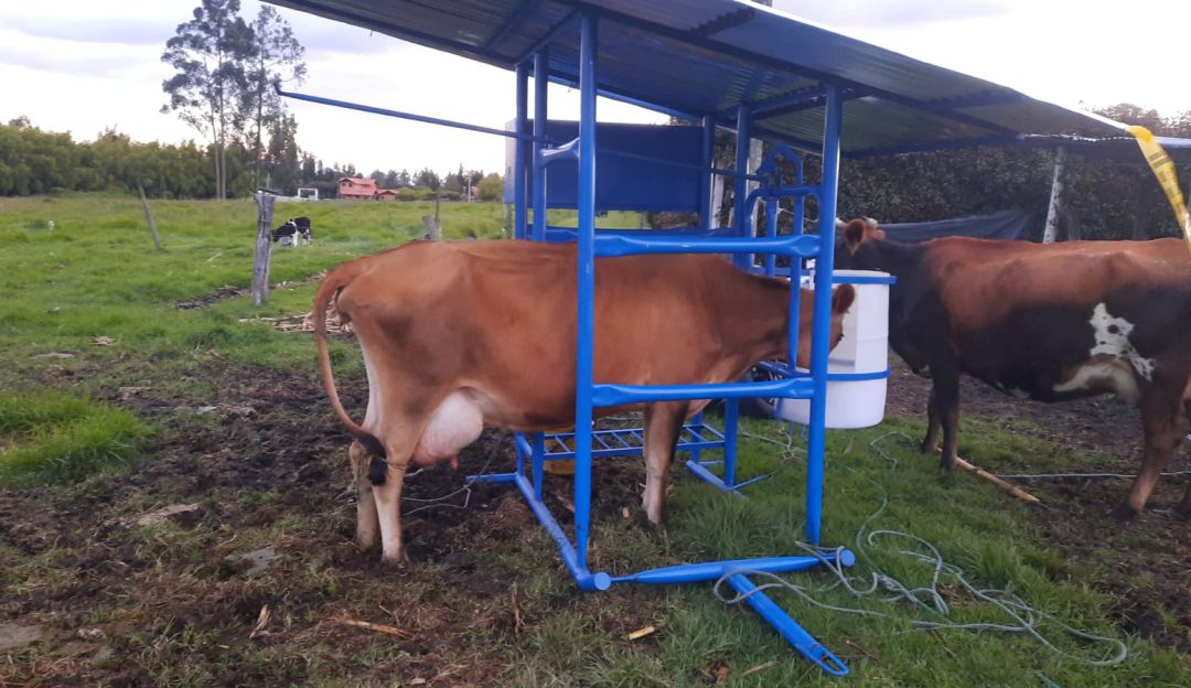 Caseta de ordeño en Chía, Cundinamarca. Caseta de ordeño en Chía, Cundinamarca.