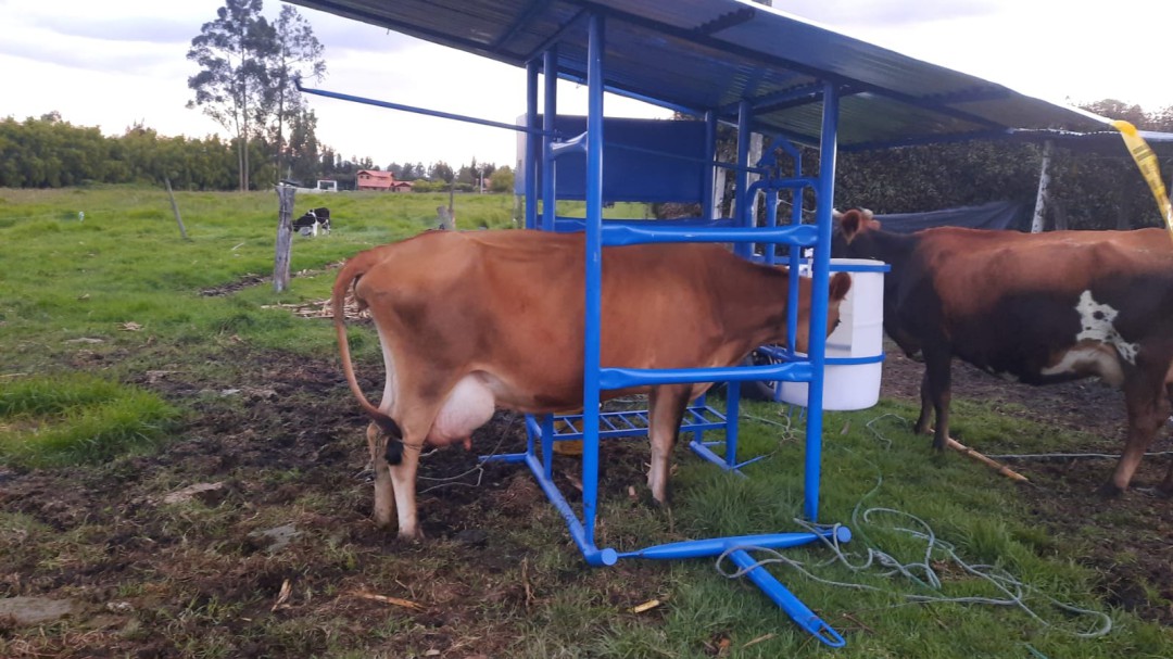 Casetas de ordeño, sistema para mejorar la calidad de la leche en Chía