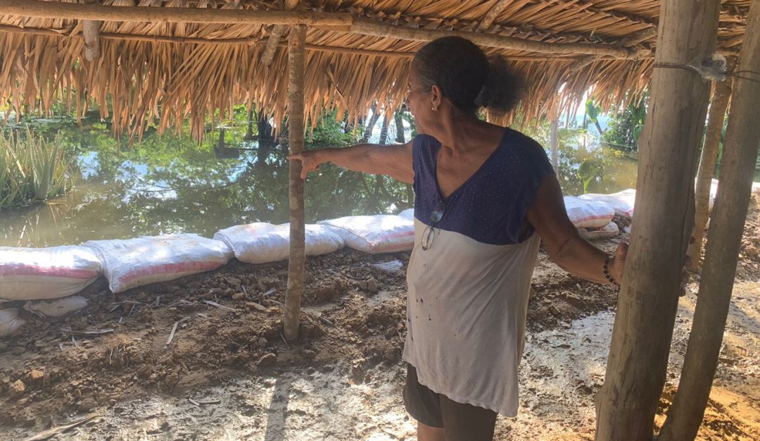 Las inundaciones han arrasado con cultivos de yuca, maíz, ajonjolí y frijoles Las inundaciones han arrasado con cultivos de yuca, maíz, ajonjolí y frijoles