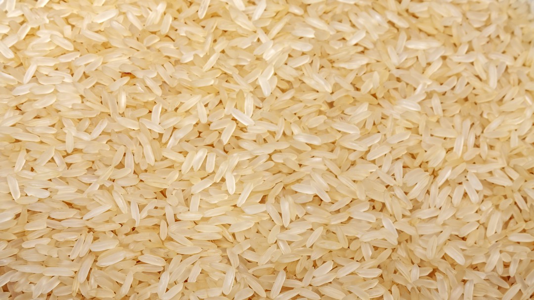 Implementan nuevas tecnologías para cultivar arroz en Huila