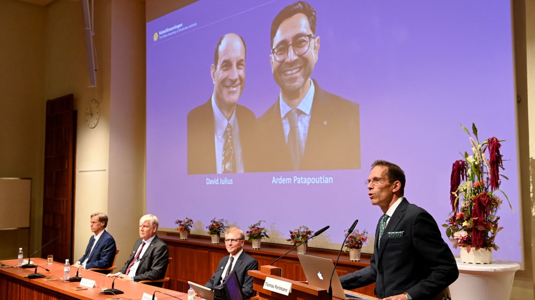 Nobel de Medicina para Julius y Patapoutian por hallazgos sobre el tacto