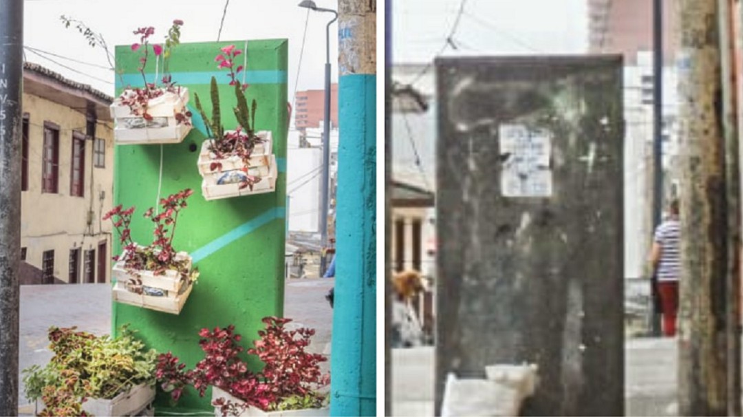 Focos de contaminación por basura se convierten en jardines