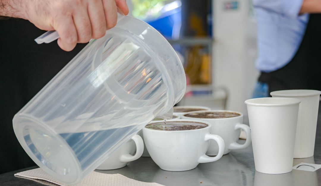 Producción de café en septiembre Producción de café en septiembre