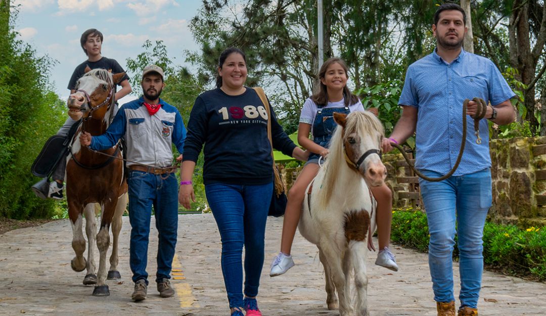 PONY PARQUE: el maravilloso mundo de los ponis PONY PARQUE: el maravilloso mundo de los ponis