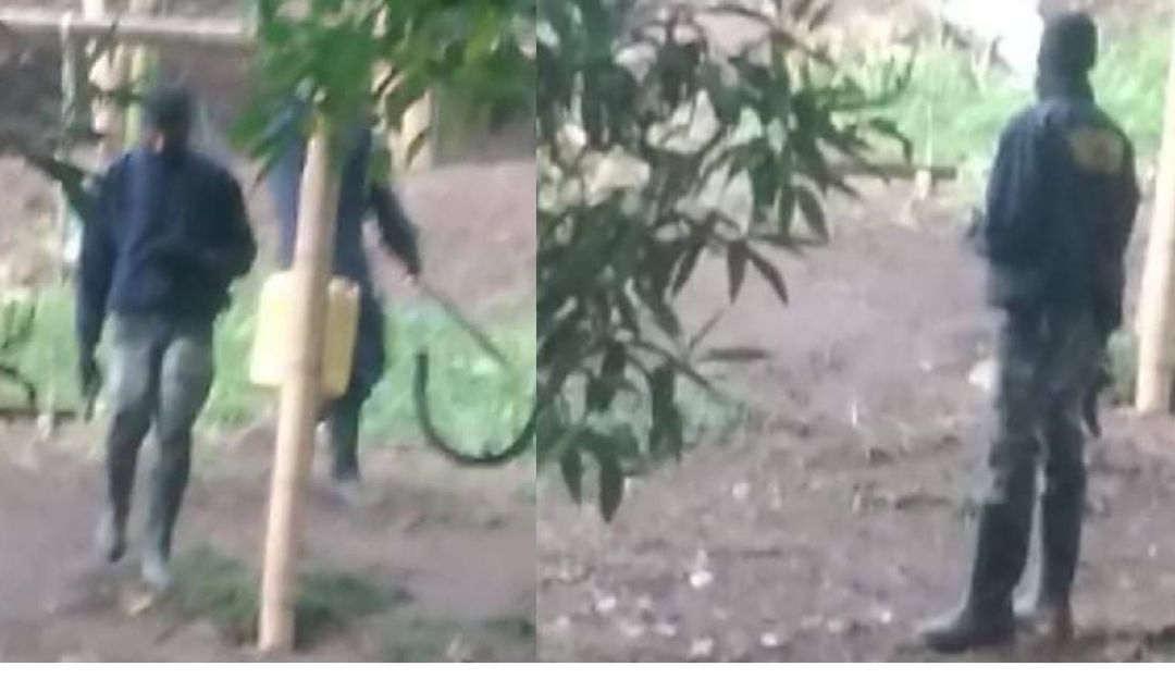 Presencia de hombres armados en la comuna seis de Ibagué Presencia de hombres armados en la comuna seis de Ibagué
