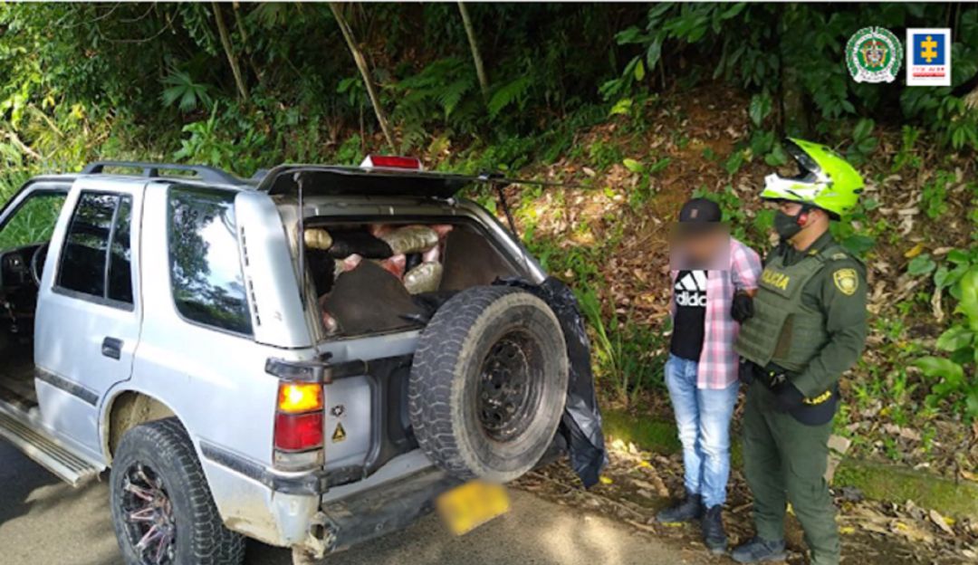 Transportaba más de 500 kilos de marihuana por vías de Caldas Transportaba más de 500 kilos de marihuana por vías de Caldas