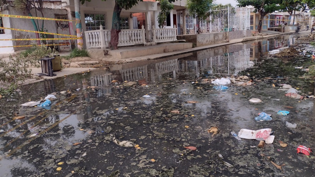 Desde la próxima semana habrá nuevo pico de casos de dengue en Cartagena