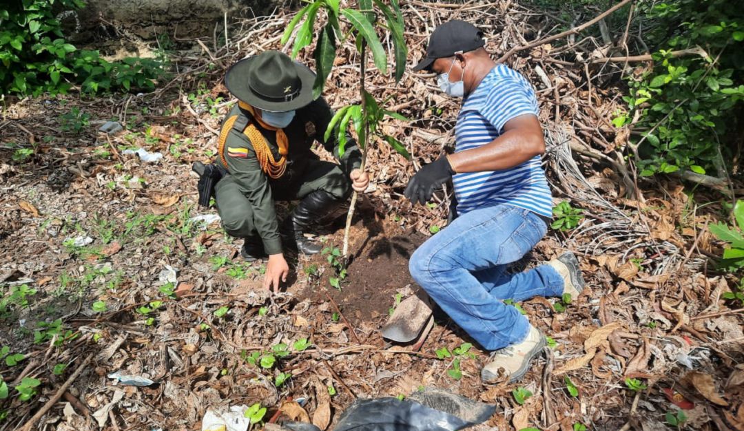 La institución en compañía de la Secretaría de Planeación de Arjona sembró más de 150 árboles en un colegio de la población La institución en compañía de la Secretaría de Planeación de Arjona sembró más de 150 árboles en un colegio de la población