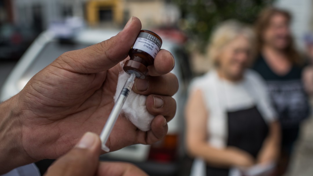 OMS detecta brote de fiebre amarilla en Venezuela y recomienda vacunación