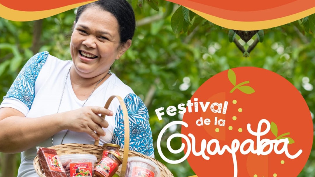 El Festival de la Guayaba
beneficia a matronas, campesinos y productores