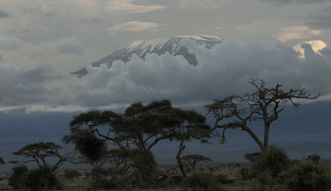 El monte Kilimanjaro en Tanzania, África. El monte Kilimanjaro en Tanzania, África.