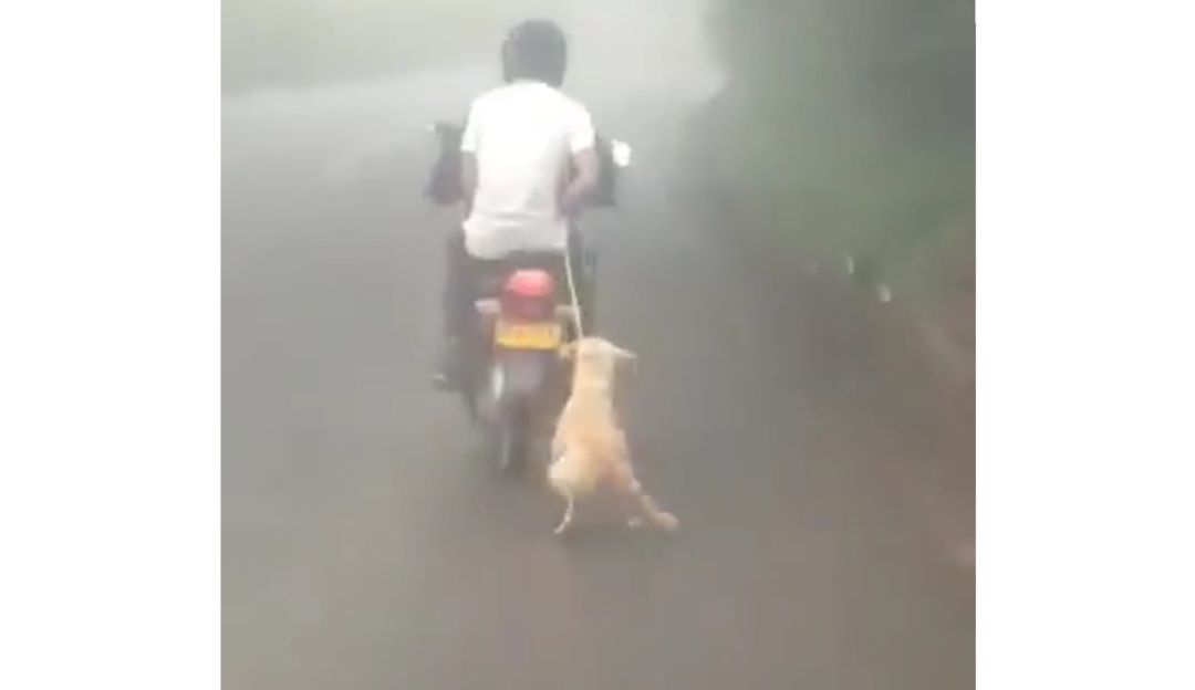 . .