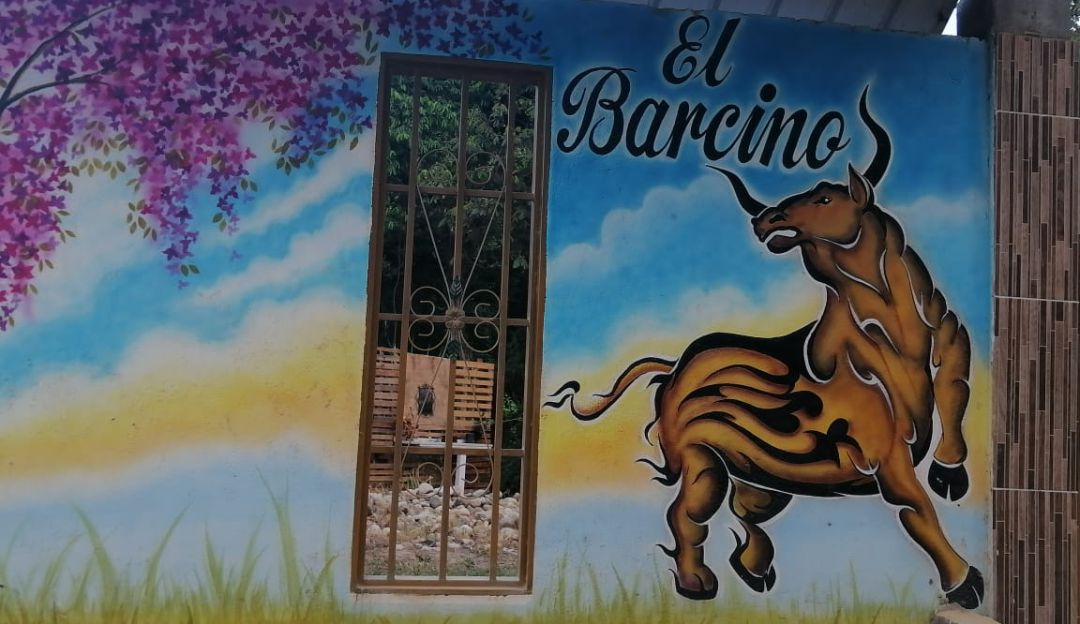 El Barcino fue un toro de la hacienda El Cedral donde el compositor Jorge Villamil nació y vivió en su infancia. El Barcino fue un toro de la hacienda El Cedral donde el compositor Jorge Villamil nació y vivió en su infancia.