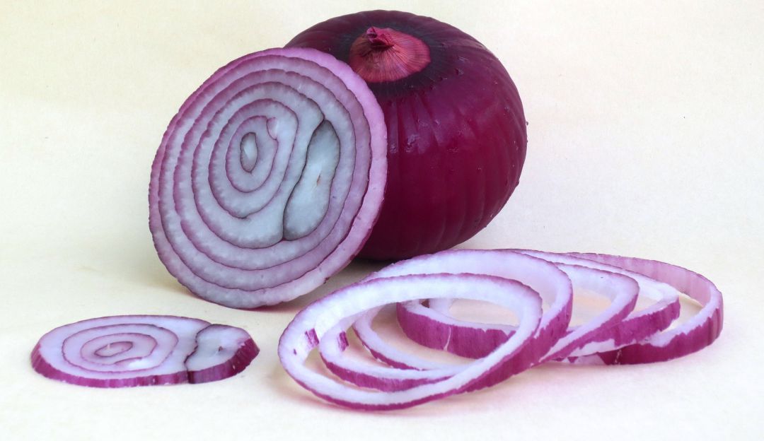 Cebolla Cebolla
