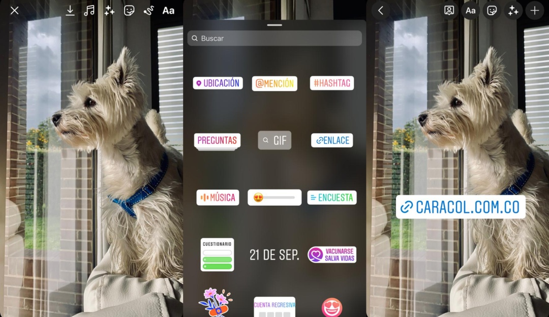Nuevas funciones en Instagram Nuevas funciones en Instagram