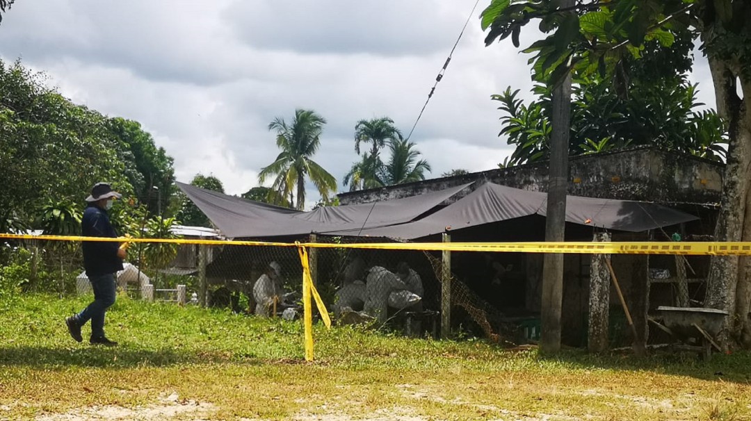 JEP ha recuperado 31 cuerpos en la Unión Peneya, Caquetá