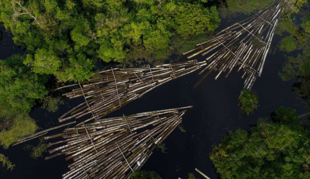 Referencia Amazonia Referencia Amazonia