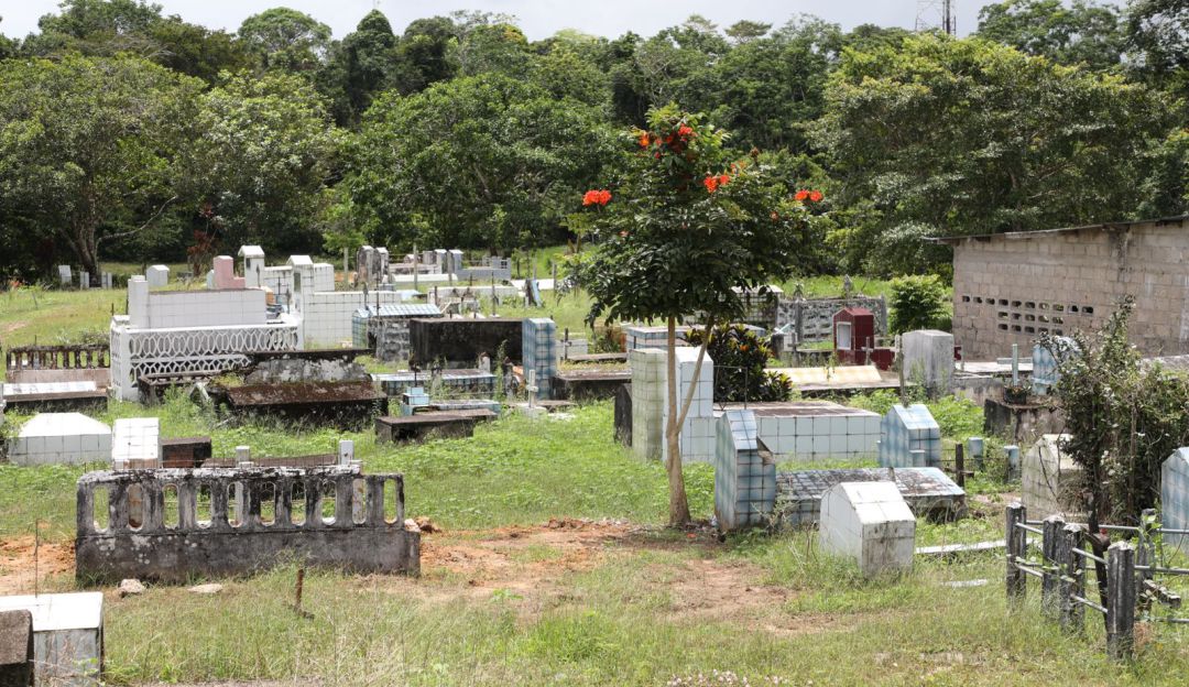 46 cuerpos recuperados en La Unión Peneya, en Caquetá 46 cuerpos recuperados en La Unión Peneya, en Caquetá