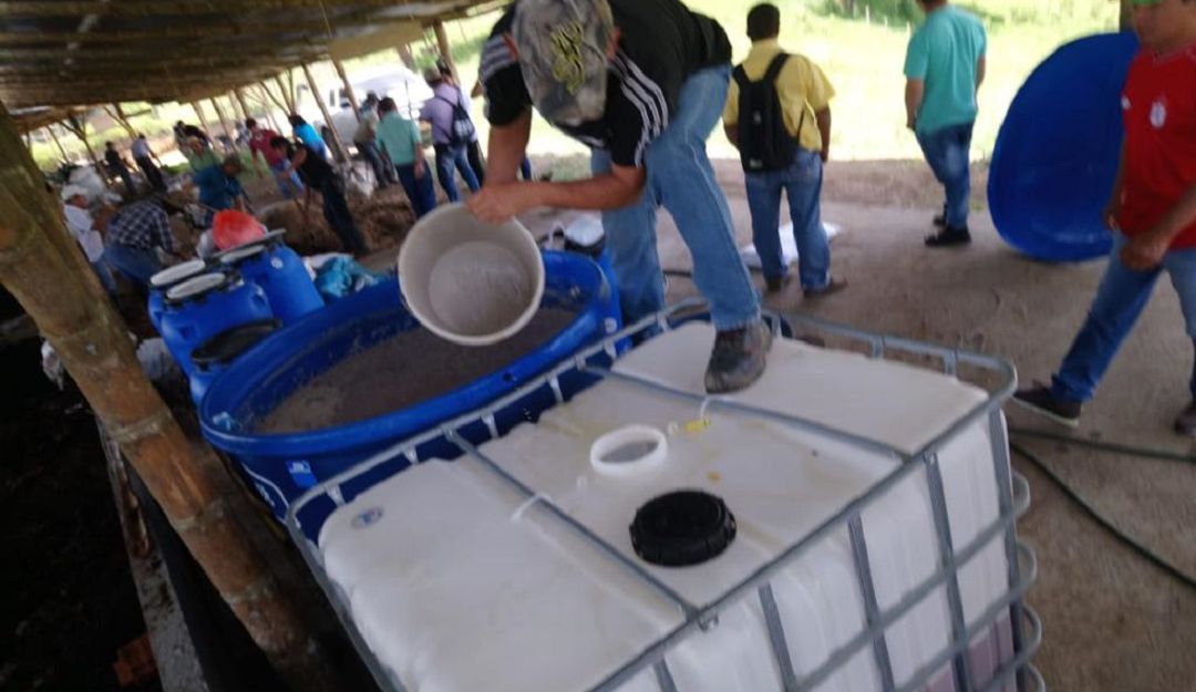 Producción de abono orgánico en Bugalagrande, Valle Producción de abono orgánico en Bugalagrande, Valle