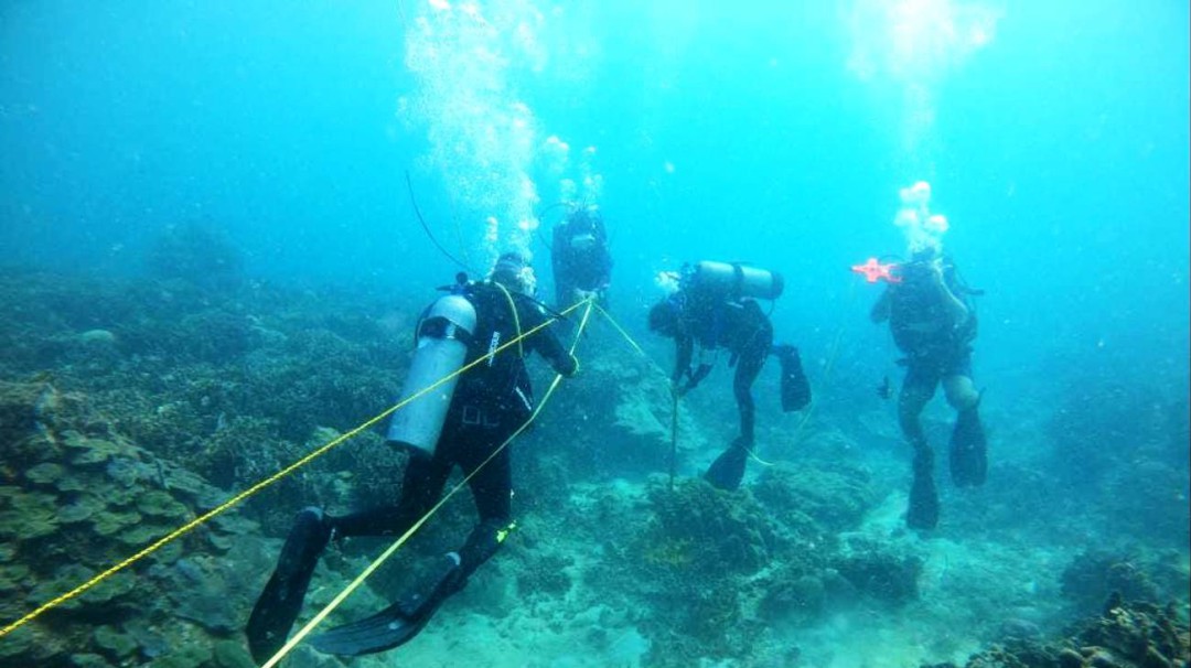 Primer diplomado de investigación subacuática en Colombia