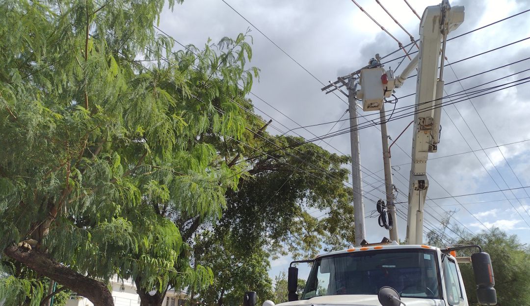 El equipo técnico de la compañía continuará con los trabajos de mejora y adecuaciones en la red que suministra energía a varias poblaciones El equipo técnico de la compañía continuará con los trabajos de mejora y adecuaciones en la red que suministra energía a varias poblaciones