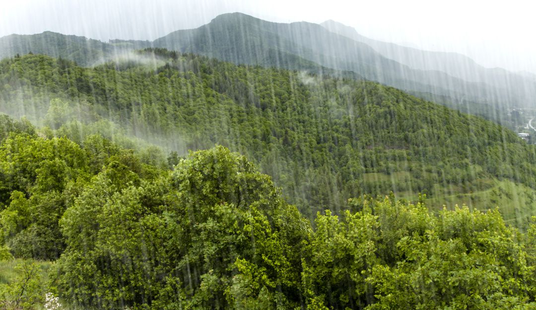 Temporada de lluvias y efectos sobre zonas ruales. Imagen de referencia Temporada de lluvias y efectos sobre zonas ruales. Imagen de referencia