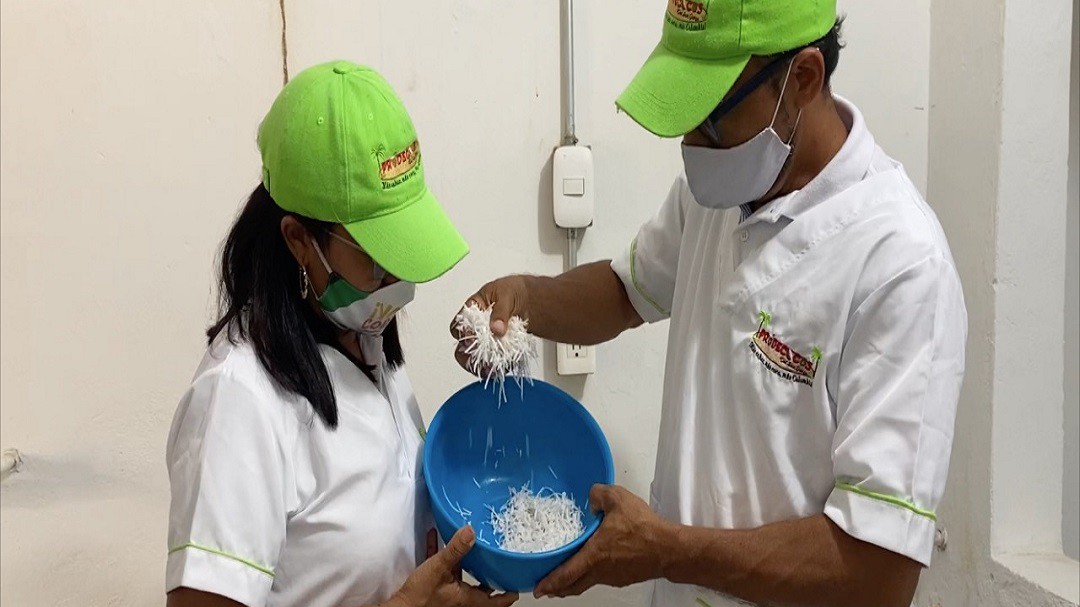 Víctimas inauguran planta de transformación de coco en Puerto Libertador
