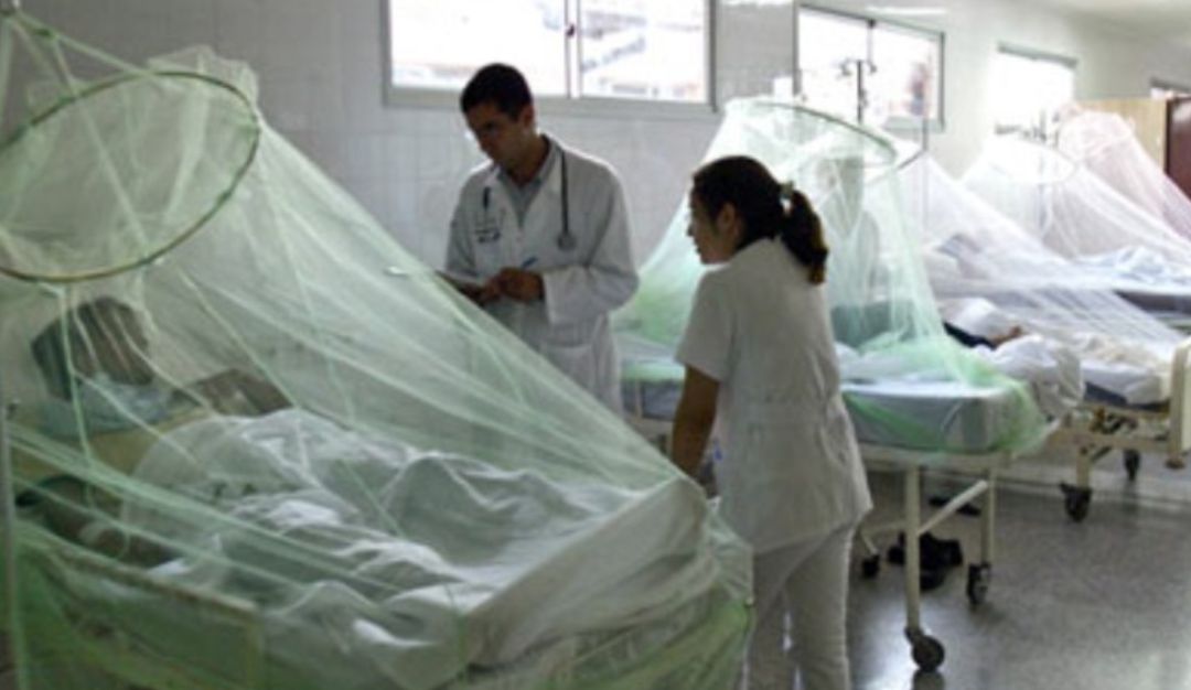 Dengue Dengue