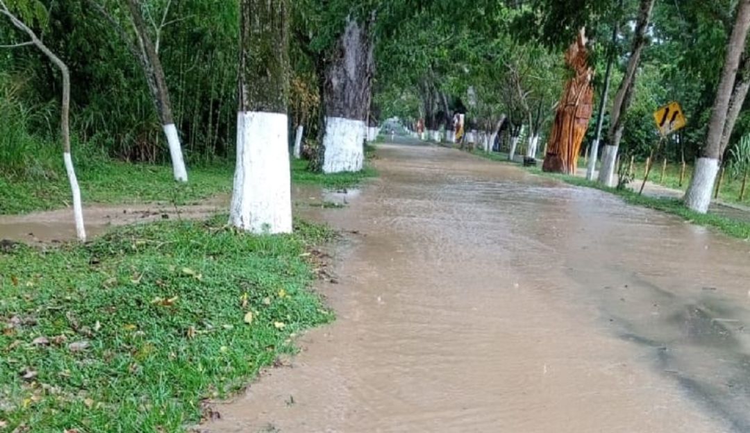 Foto: Suministrada por la comunidad. Foto: Suministrada por la comunidad.