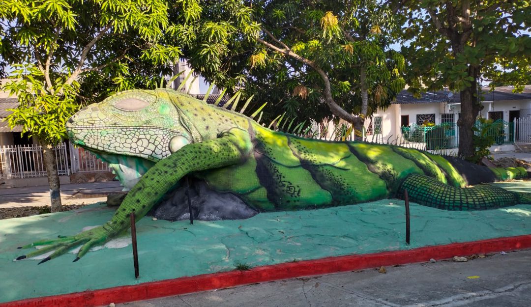 Iguanas Iguanas
