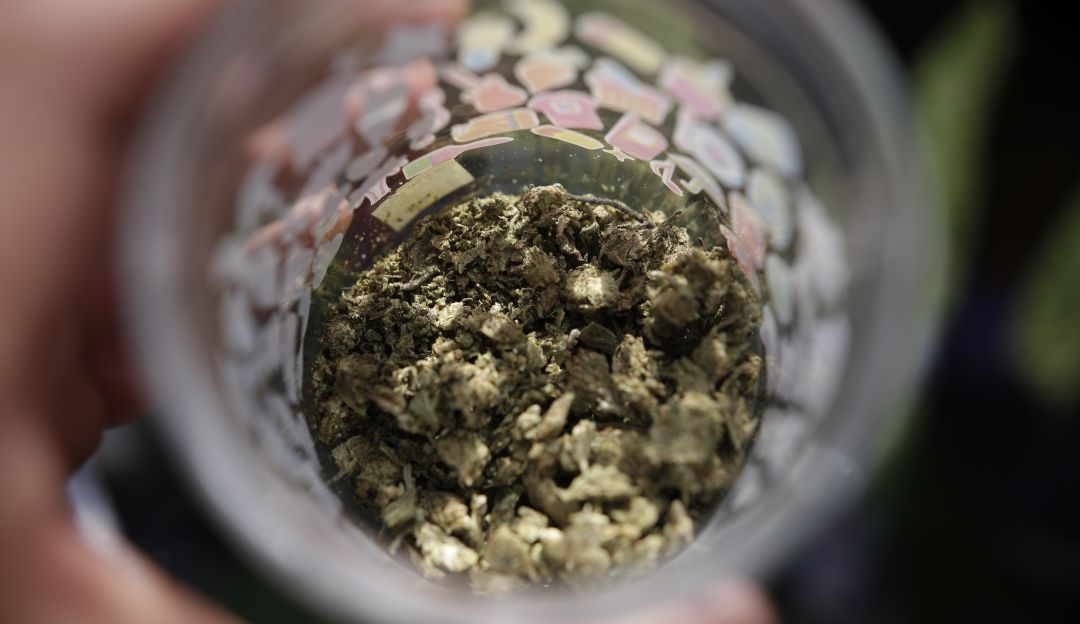 Congreso hunde nuevamente el proyecto que regulaba el cannabis para adultos, con fines recreativos Congreso hunde nuevamente el proyecto que regulaba el cannabis para adultos, con fines recreativos
