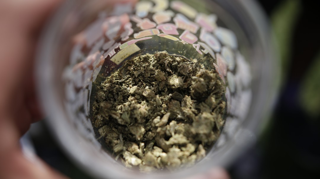 Congreso hunde nuevamente el proyecto que regulaba el cannabis recreativo