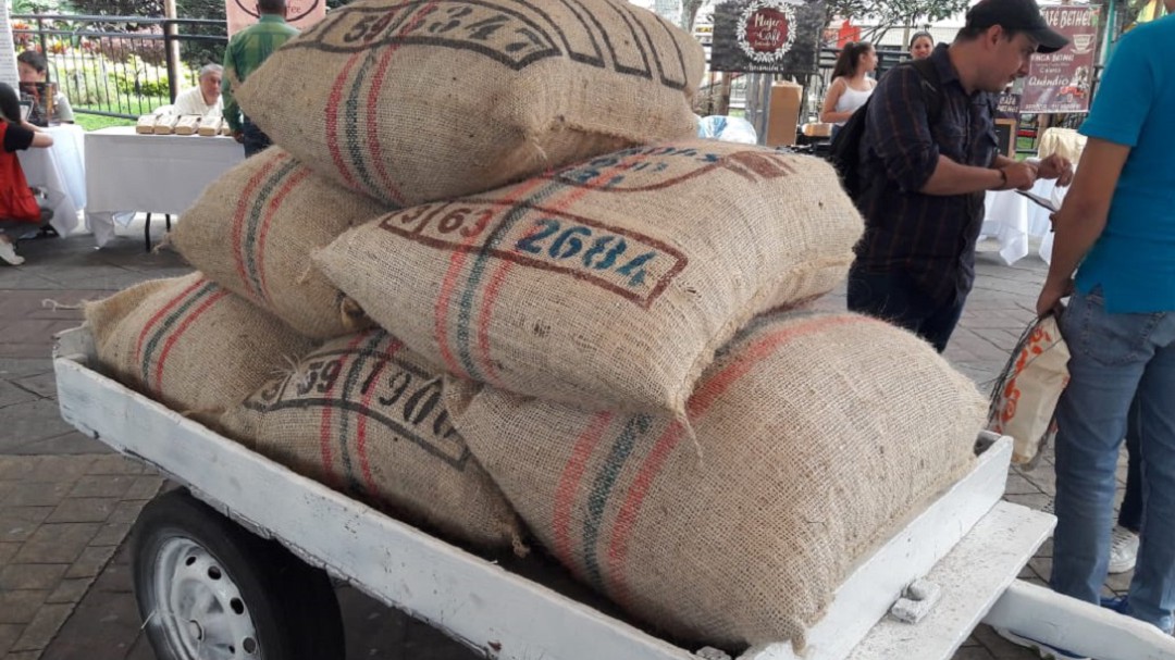 No estamos en bonanza por los buenos precios: cafeteros del Quindío.