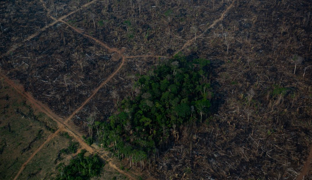Deforestación en la Amazonía Deforestación en la Amazonía