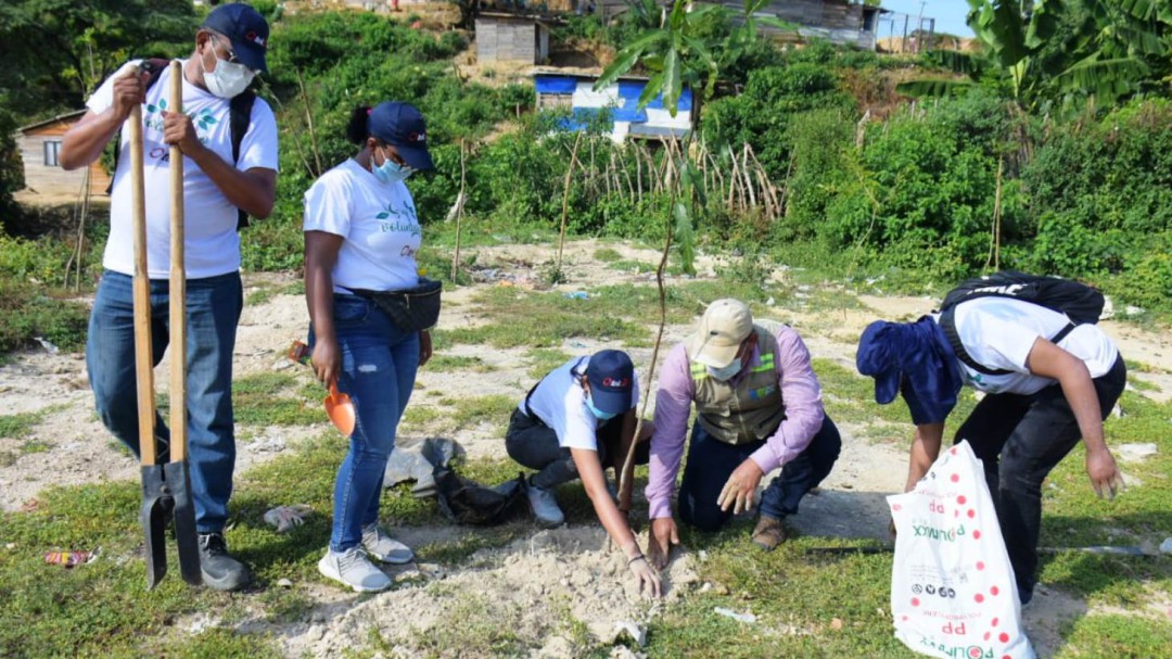 Avanza plan de recuperación ambiental para zonas de la Popa