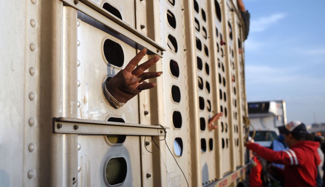 Tráiler con migrantes Tráiler con migrantes