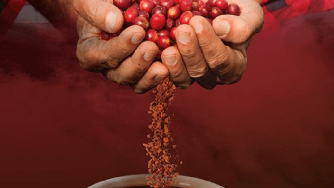 En Filipinas se consume café colombiano con tecnología Sensoria by Buencafé