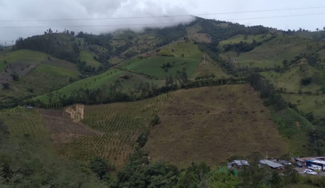 Paisaje en el sector del túnel los Venados en Cajamarca. Proyecto cruce de la cordillera central. Paisaje en el sector del túnel los Venados en Cajamarca. Proyecto cruce de la cordillera central.