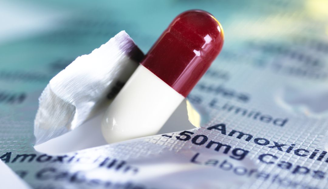 Imagen de referencia antibiótico Imagen de referencia antibiótico