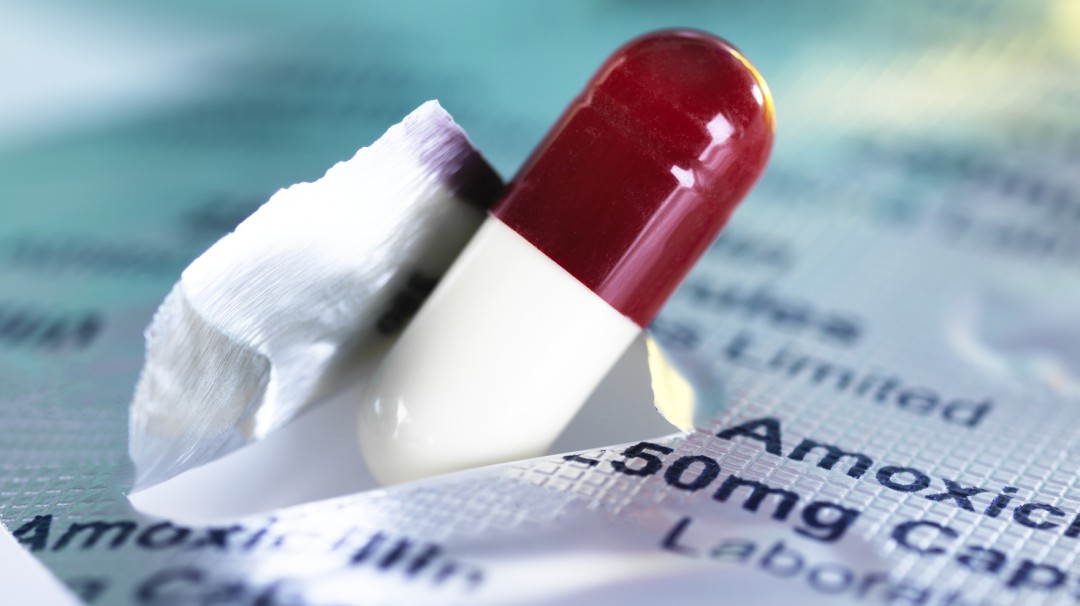 Conozca el uso de los antibióticos y el riesgo de la automedicación